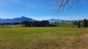 Wir geniessen das schöne Wetter